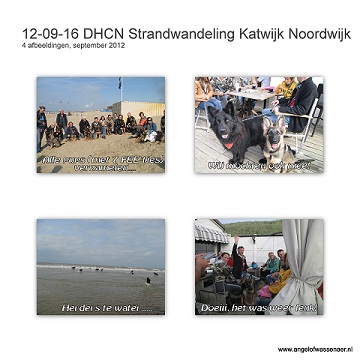 DHCN Strand wandeling van Katwijk naar Noordwijk met heel veel nakomelingen van Angel en Aiki